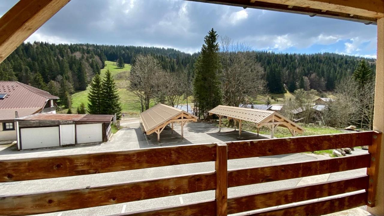 Appartement Ideal Pour Ete Et Hiver, Situe Au Pied Des Pistes De Ski Et Des Sentiers De Randonnee Premanon Bagian luar foto